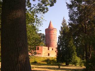 aus dem Burg Park der Blick auf den Turm